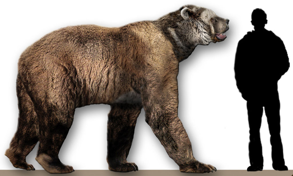 Arctodus simus reconstruction