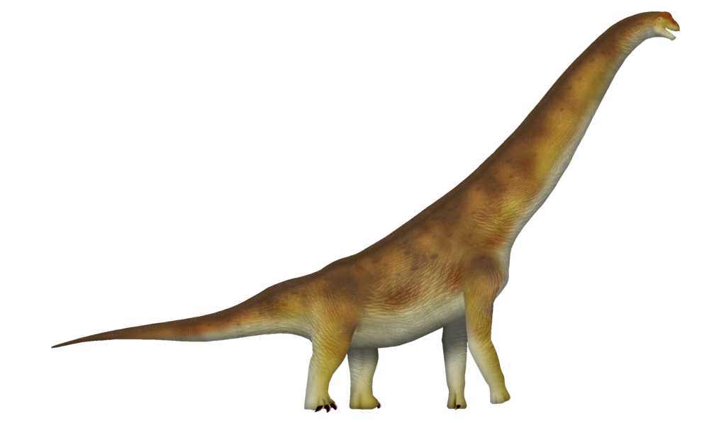 Brachiosaurus represents one of the most massive dinosaurs