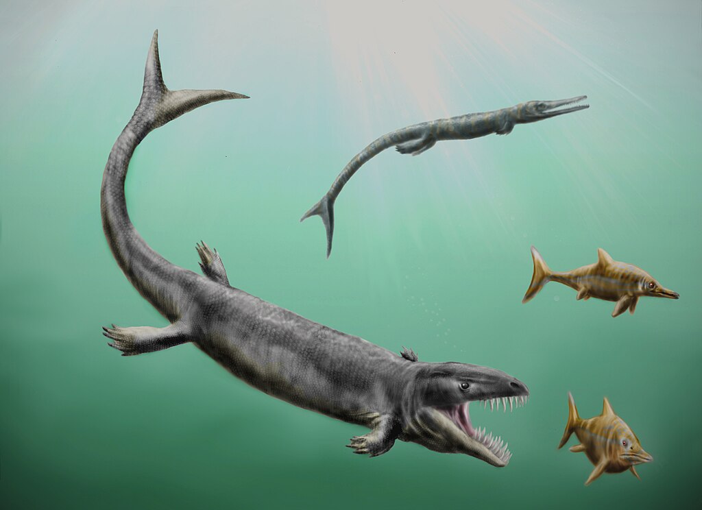 Marine reptiles ruled the Mesozoic seas