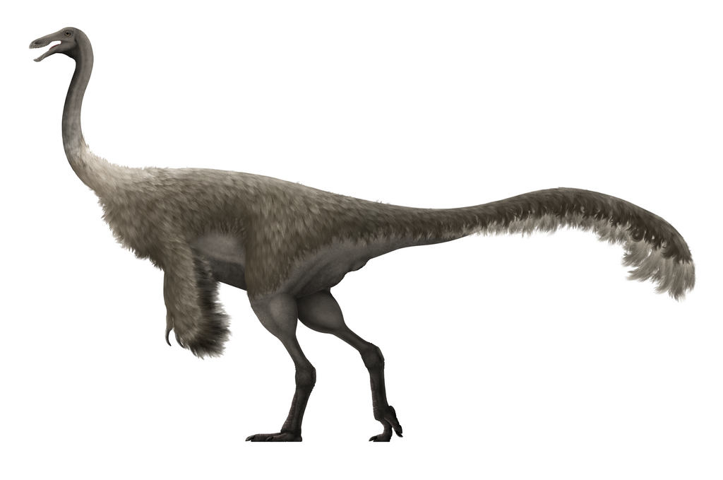 Life restoration of the large Late Cretaceous ornithomimid Gallimimus bullatus.