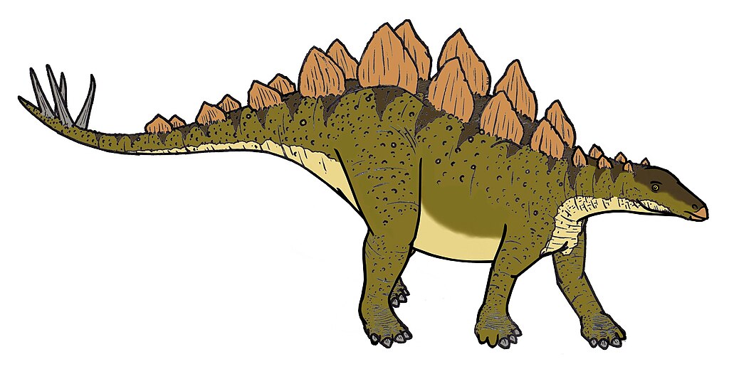 Stegosaurus