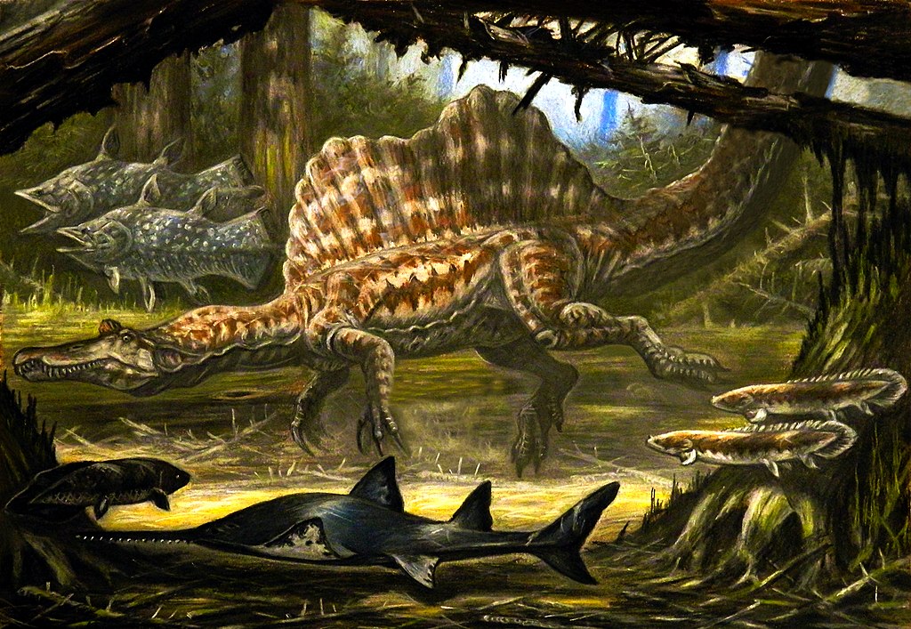 The mystery of how Spinosaurus moved, both on land and in water, continues to spark heated debates among paleontologists, with each new discovery offering fresh insights into its unique biology.