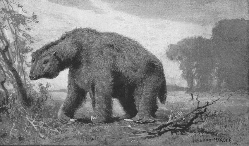 Antique illustration of a large, furry prehistoric creature, resembling a giant sloth, walking in a natural landscape. The gray tones create a somber, nostalgic mood.