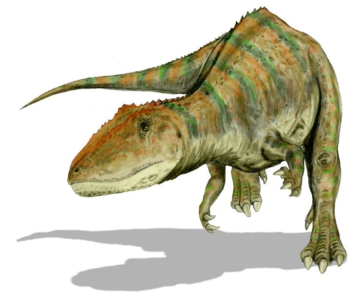 Life restoration of Carcharodontosaurus saharicus, a theropod from the Early Cretaceous of Africa, pencil drawing