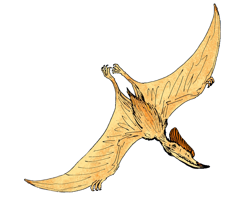 Illustration of a pterodactyl with beige wings and brown crest, soaring against a white background. The pose conveys grace and prehistoric majesty.