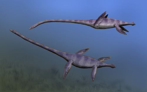 Elasmosaurus and its astonishing 23-foot neck may have been built for more than just surface hunting—its reinforced vertebrae hint at unexpected deep-diving potential.