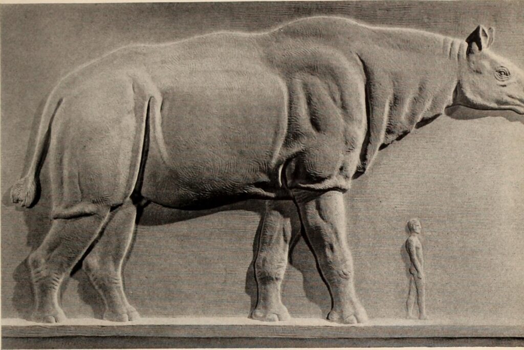 A black and white illustration depicts a massive prehistoric mammal resembling a rhinoceros, standing beside a human figure for scale. The image emphasizes the size contrast.