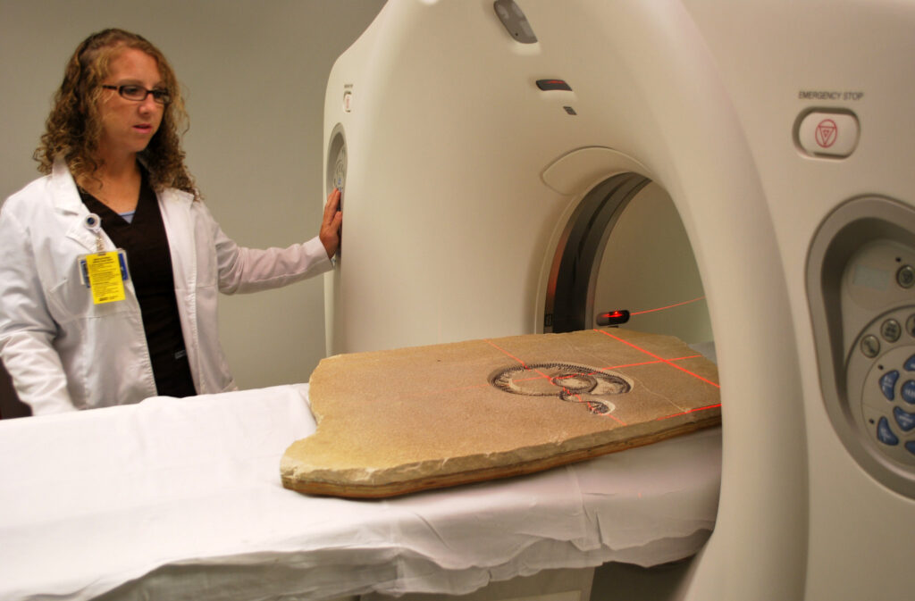 HMNS Fossil Snake CT Scanning at Methodist Hospital