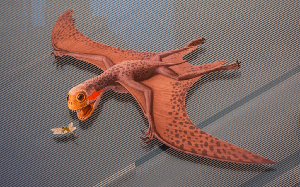 Illustration of a pterosaur with large eyes and an open mouth, flying toward a dragonfly. Its wings are outstretched, showing a dotted pattern.