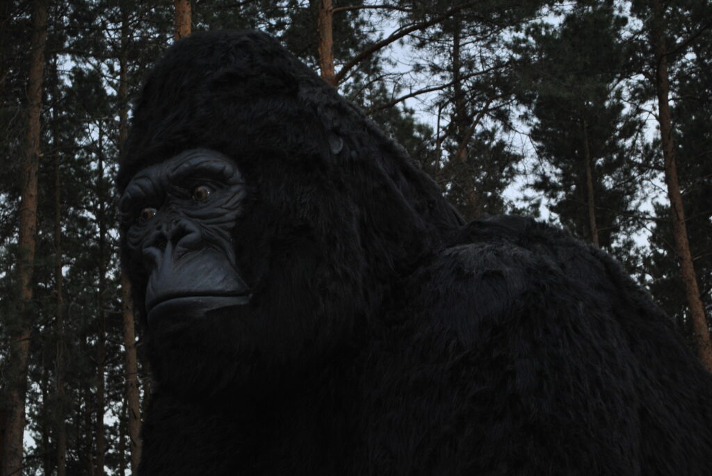 A large gorilla statue with a somber expression is set against a backdrop of tall pine trees under a cloudy sky, conveying a calm, natural atmosphere.