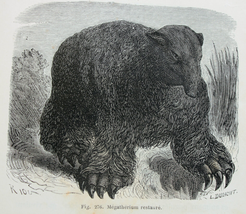 A detailed black and white illustration of a Megatherium, a prehistoric giant sloth. It has a bulky, shaggy body with large claws, set against grass and softly textured foliage, conveying a calm, ancient atmosphere.