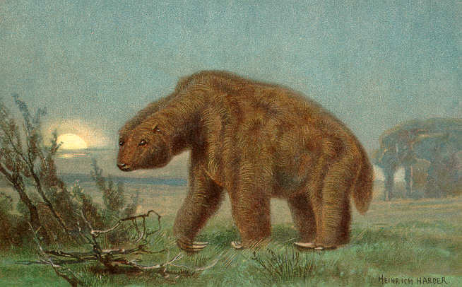 Illustration of a prehistoric giant ground sloth walking in a grassy landscape at dusk. The setting sun casts a warm glow, creating a calm and ancient atmosphere.