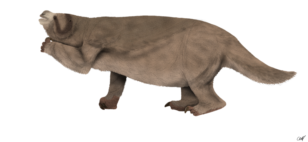 Alt text: "Illustration of a gray Megatherium, an extinct giant ground sloth, standing on all fours. It has a bulky body, long tail, and curved claws."
