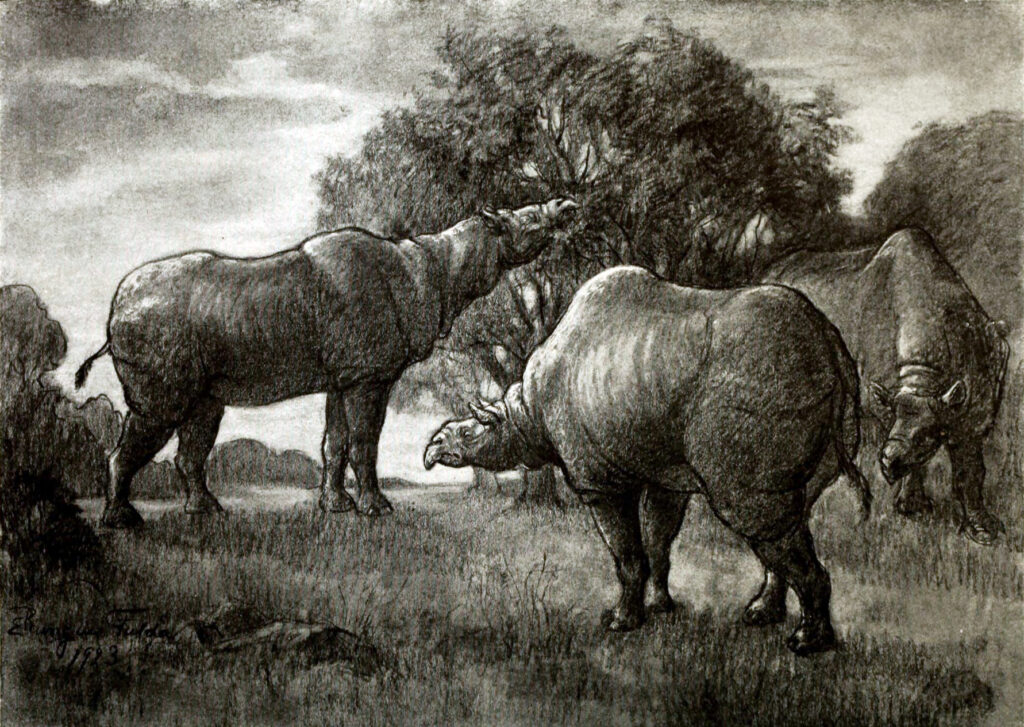 Charcoal drawing of three prehistoric herbivorous mammals in a grassy landscape, feeding on foliage from trees, conveying a serene, ancient atmosphere.