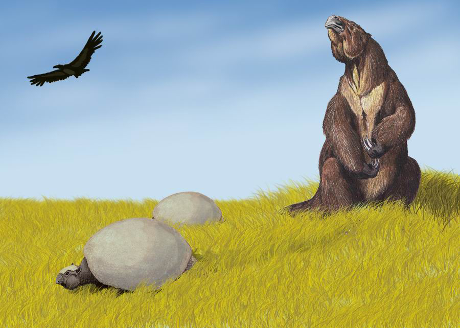 Illustration of a prehistoric scene; a giant ground sloth sits in a sunny field, with two dome-shelled tortoises nearby and a bird soaring overhead.