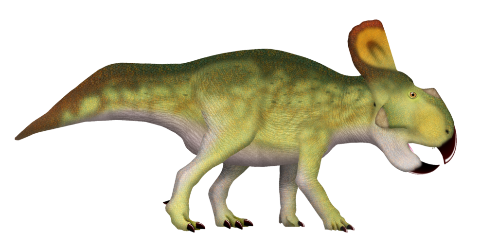 Illustration of Protoceratops, a small ceratopsian dinosaur, showcasing its distinctive frill and beak-like mouth.