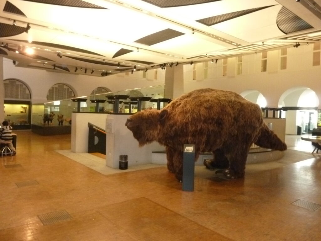 Large museum exhibit featuring a giant ground sloth model on a polished floor, surrounded by informational displays and under bright ceiling lights.