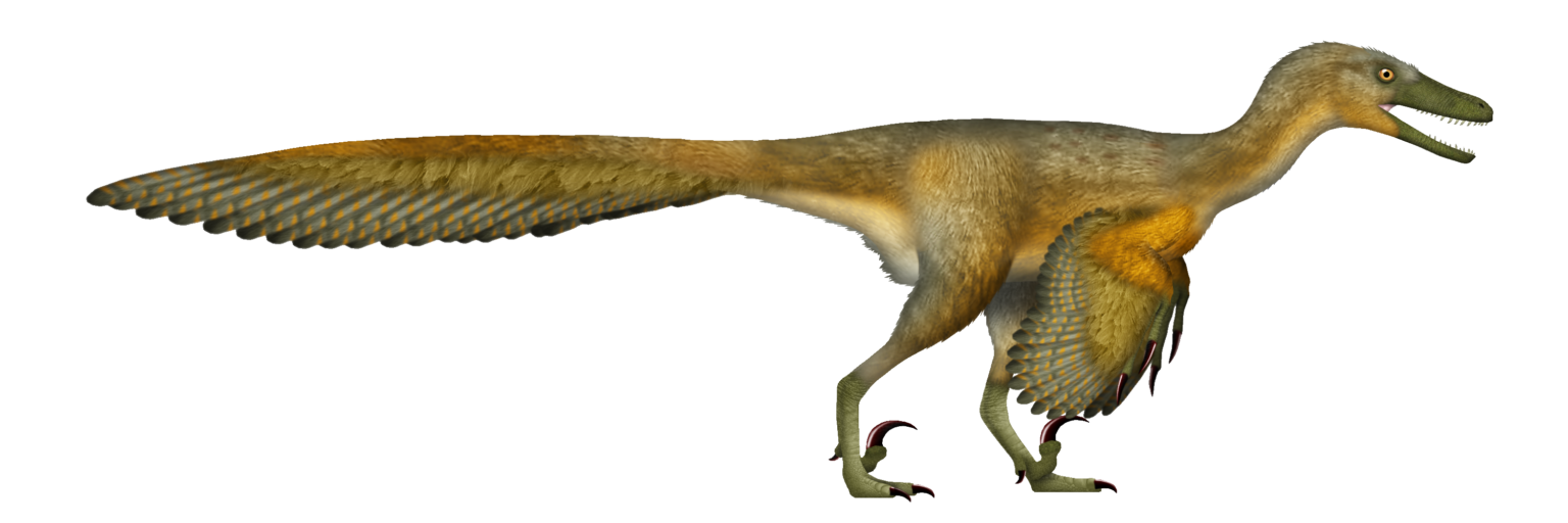 How Fast Could Velociraptors Really Run? – Dino World