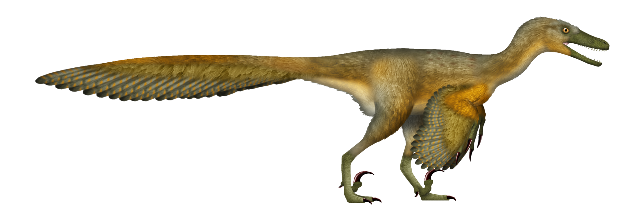 How long did dinosaurs live the answer may surprise you dino world