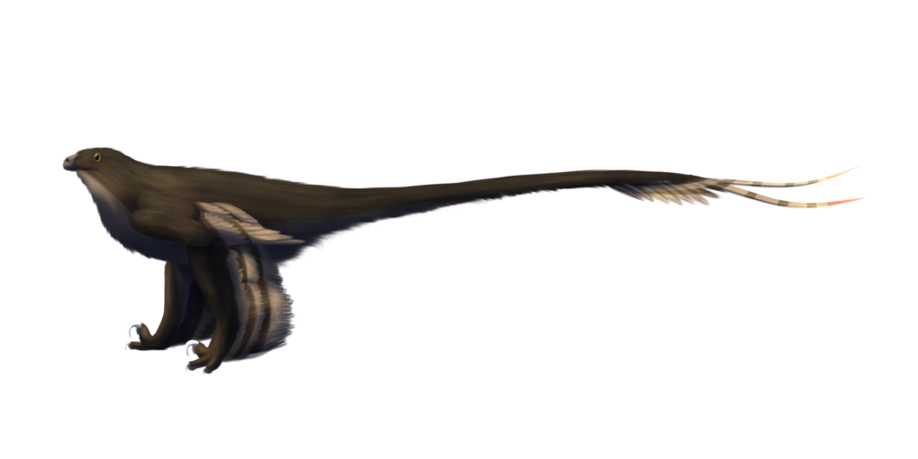 Illustration of a feathered dinosaur, Balaur bondoc, with a streamlined body, long tail, and prominent claws. Its expression appears alert and curious.