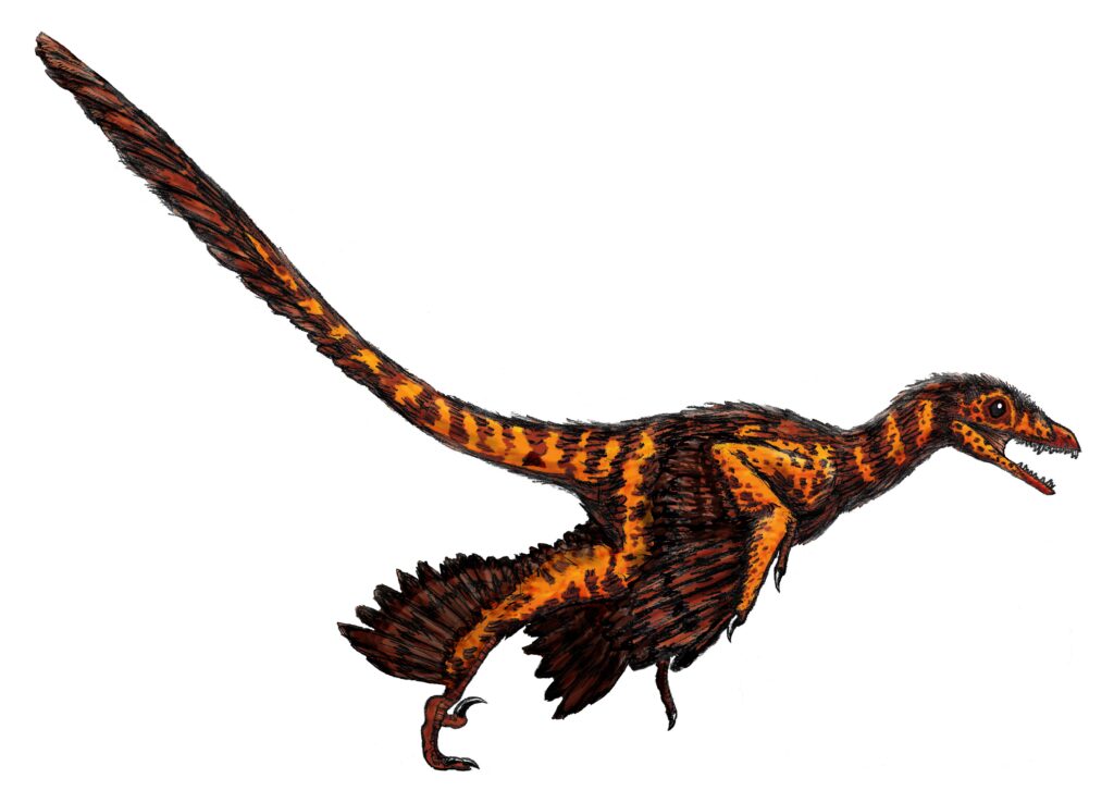 Illustration of a small dinosaur, orange with black stripes, displaying a long tail and feathered limbs, evoking a dynamic and energetic pose.