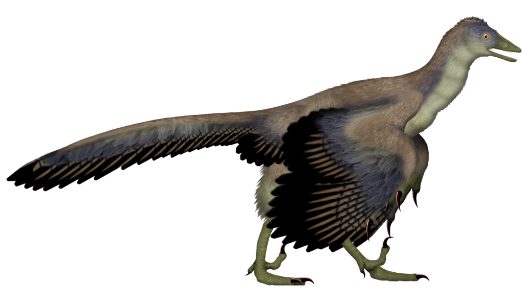 A feathered dinosaur with brown and gray plumage is depicted in a side profile. It has a bird-like body, long tail, and green feet with sharp claws.
