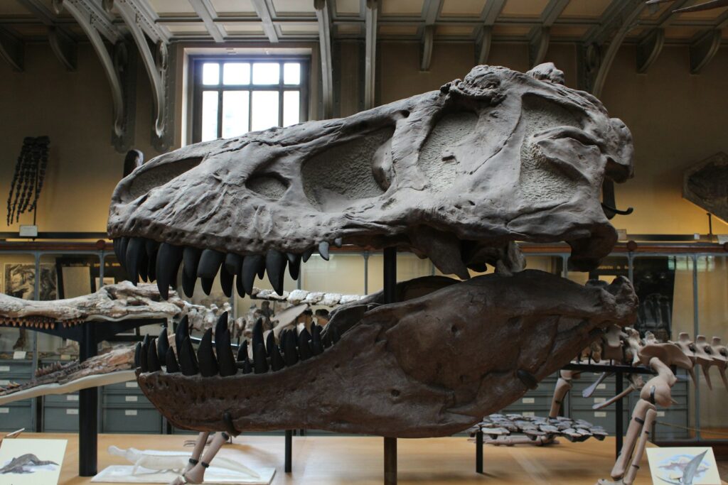 dinosaur fossils hold ancient secrets