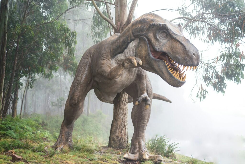 T. rex footprints helped settle the debate on its speed, showing moderate running abilities that matched biomechanical predictions from its skeleton!