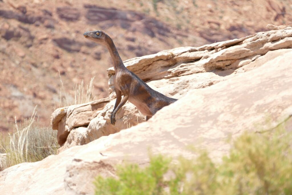 The Late Jurassic ecosystem included fearsome predators