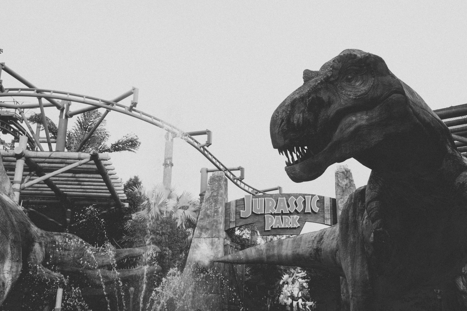 Black and white image of a large dinosaur sculpture with an open mouth beside a "Jurassic Park" sign, rollercoaster tracks, and palm trees in the background.