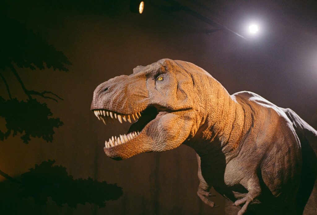 A lifelike Tyrannosaurus rex model under dramatic lighting with a wide-open, toothy mouth. The setting is dark and atmospheric, suggesting a museum exhibit.
