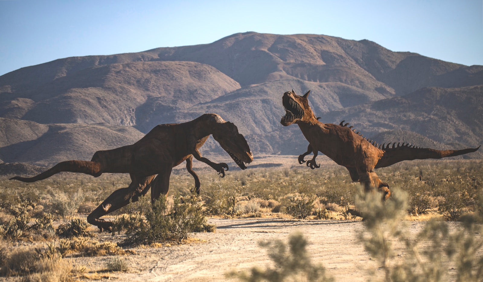 Two rust-colored dinosaur sculptures face off in a desert landscape, with rugged mountains in the background under a clear blue sky.