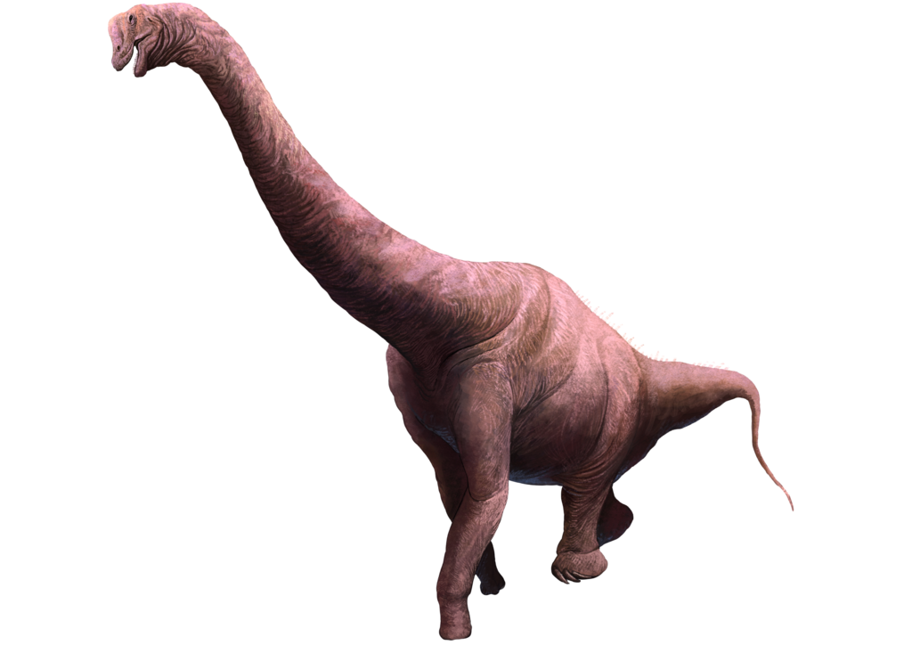 Brachiosaurus