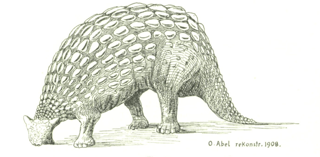 A depiction of Ankylosaurus made prior to the discovery of its distinctive tail club
