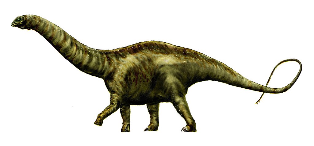 Apatosaurus