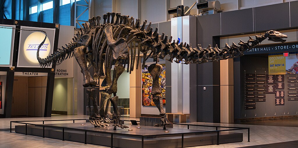Anatomy of a Giant