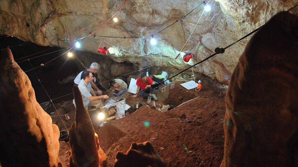 fossil excavation