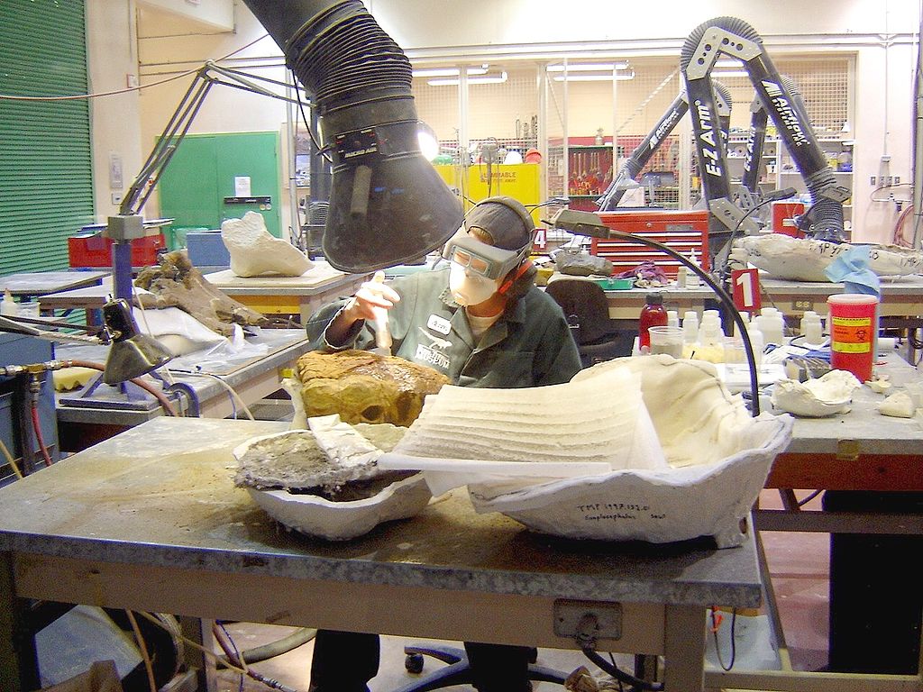Cleaning fossil