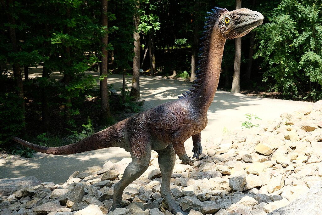 Coelophysis