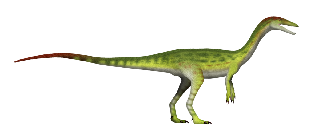Coelophysis’ slim, agile build, carnivorous diet, and possible social behavior paint it as a successful predator—laying the groundwork for the theropod lineage that would ultimately lead to birds!