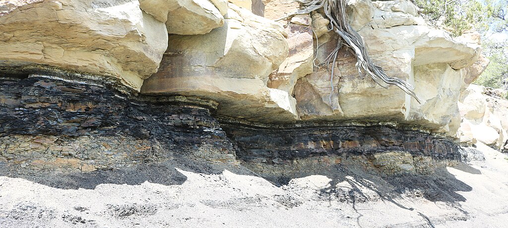 Cretaceous–Paleogene boundary in Colorado