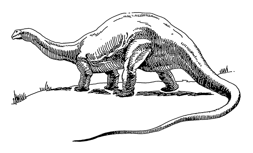 The Three Species of Brontosaurus
