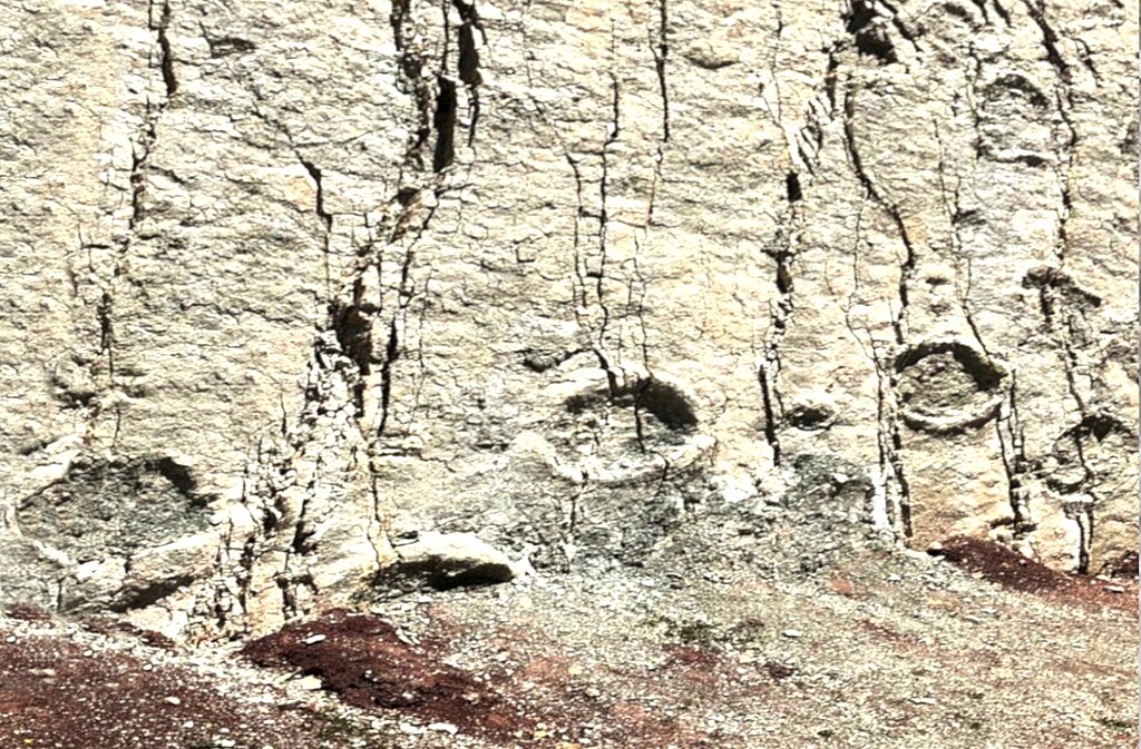 Dinosaur footprints in Cal Orcko Bolivia