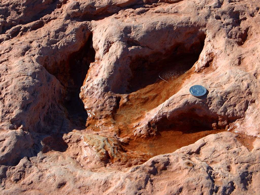 Dinosaur track