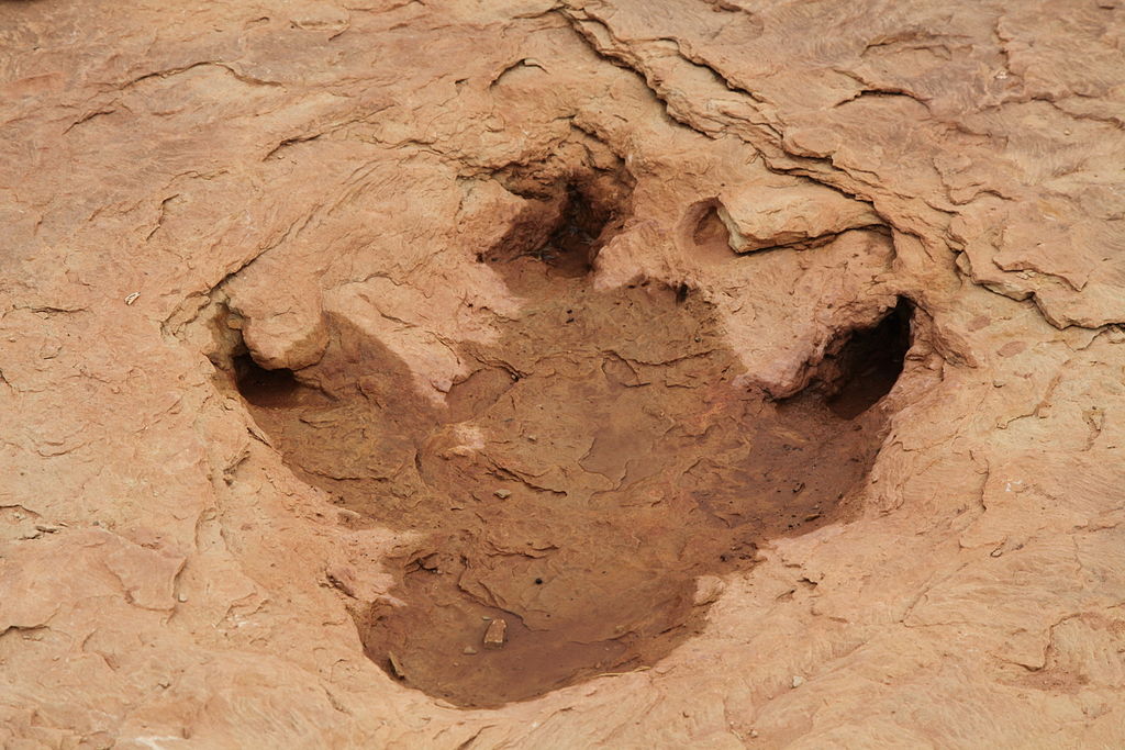 Dinosaur tracks