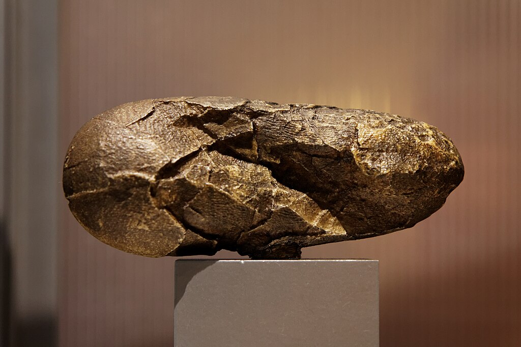 Oviraptor egg