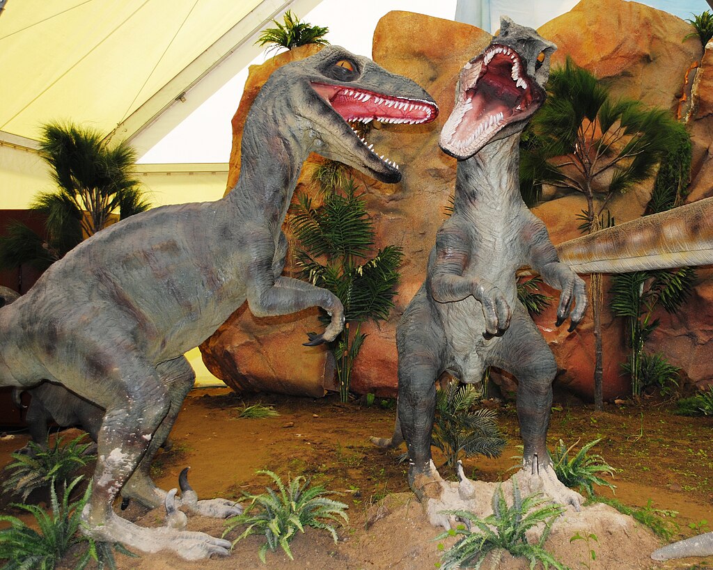 Dinosaurios Park, Velociraptor