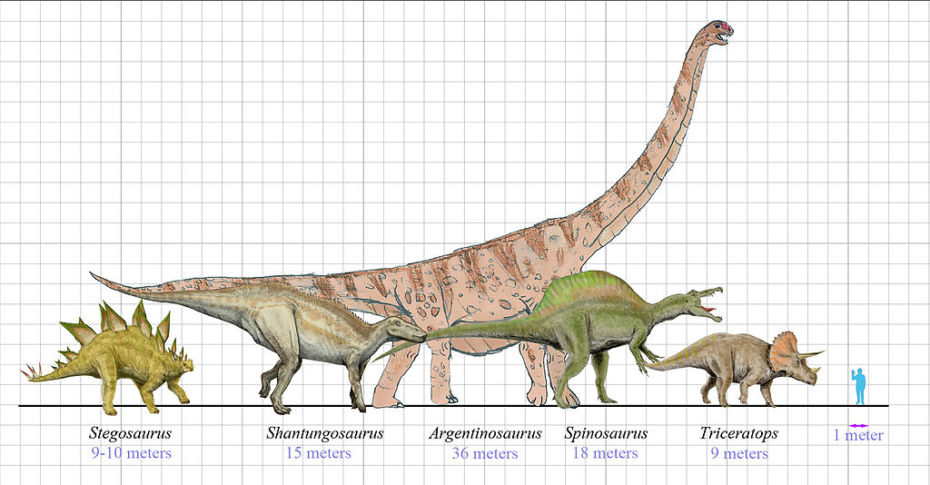 Comparison of Dinosaurs size