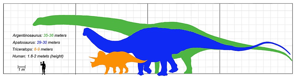 Dinosaurs size comparison.
