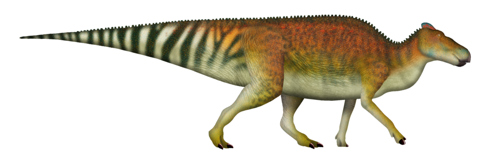 Edmontosaurus